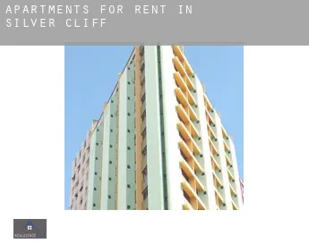 Apartments for rent in  Silver Cliff