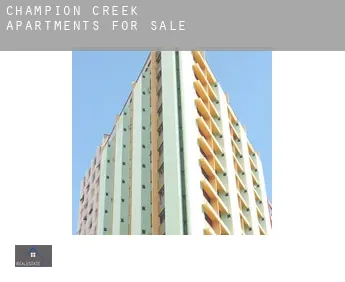 Champion Creek  apartments for sale