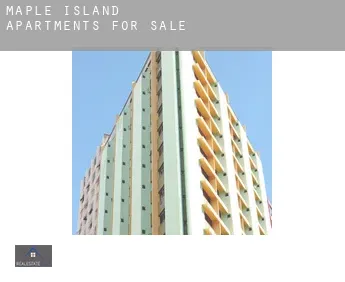 Maple Island  apartments for sale