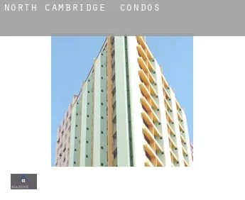 North Cambridge  condos