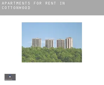 Apartments for rent in  Cottonwood