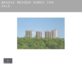 Brooke Meadow  homes for sale