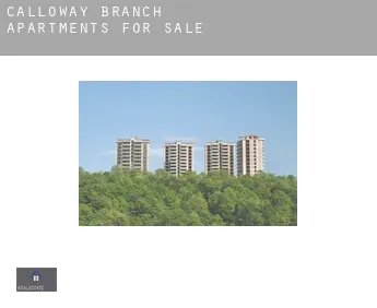 Calloway Branch  apartments for sale