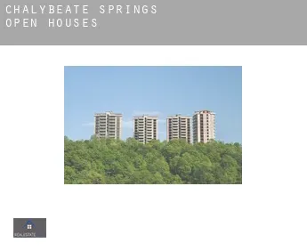 Chalybeate Springs  open houses