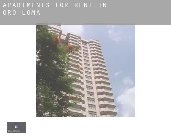 Apartments for rent in  Oro Loma