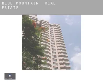 Blue Mountain  real estate