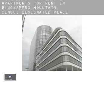 Apartments for rent in  Blucksberg Mountain