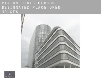 Pinion Pines  open houses