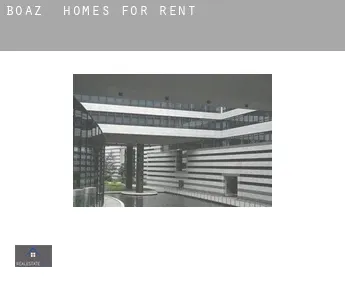 Boaz  homes for rent