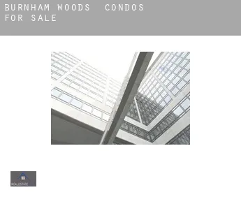 Burnham Woods  condos for sale