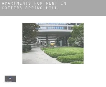 Apartments for rent in  Cotters Spring Hill