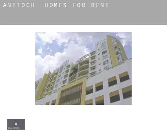 Antioch  homes for rent