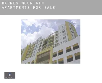 Barnes Mountain  apartments for sale