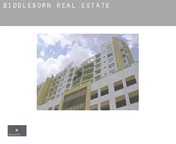 Biddleborn  real estate