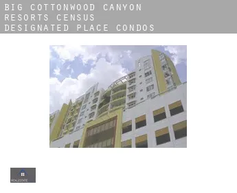 Big Cottonwood Canyon Resorts  condos