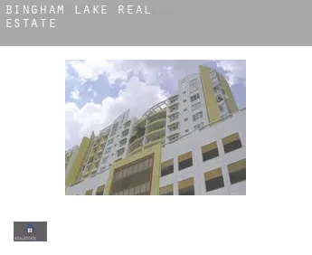 Bingham Lake  real estate