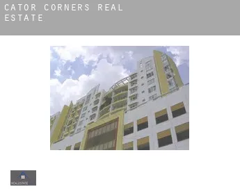 Cator Corners  real estate