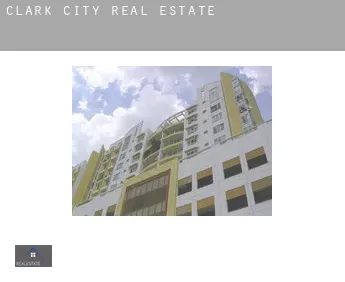 Clark City  real estate