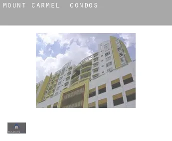Mount Carmel  condos