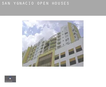 San Ygnacio  open houses