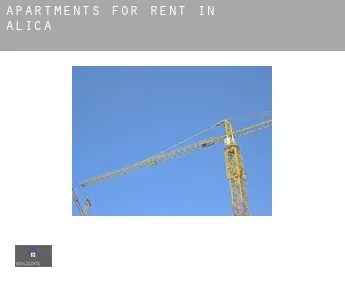 Apartments for rent in  Alica