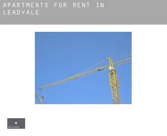 Apartments for rent in  Leadvale