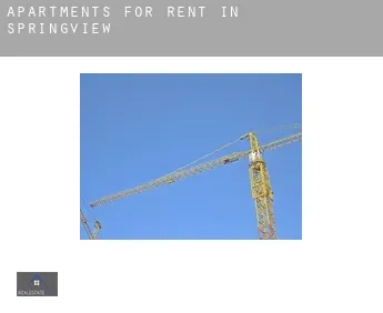 Apartments for rent in  Springview