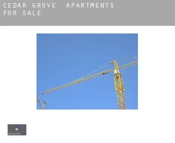 Cedar Grove  apartments for sale