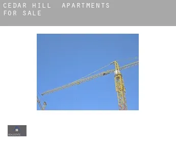 Cedar Hill  apartments for sale