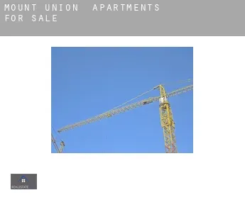 Mount Union  apartments for sale