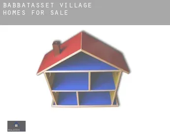 Babbatasset Village  homes for sale