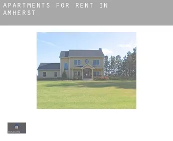 Apartments for rent in Amherst