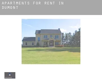Apartments for rent in  Dumont