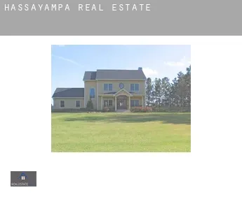 Hassayampa  real estate