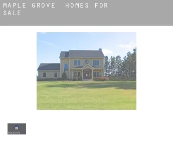 Maple Grove  homes for sale