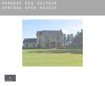 Roanoke Red Sulphur Springs  open houses