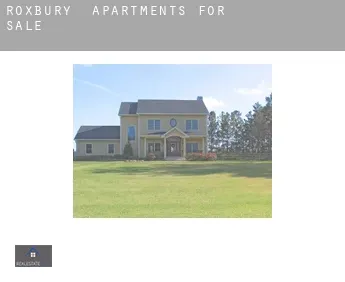 Roxbury  apartments for sale