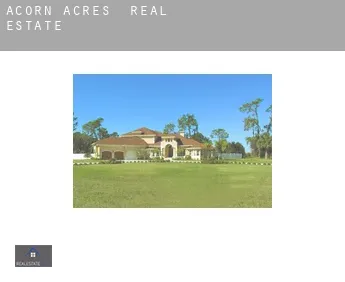 Acorn Acres  real estate