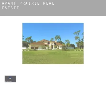 Avant Prairie  real estate