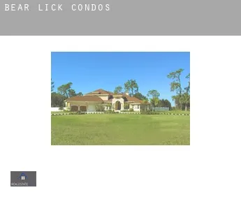 Bear Lick  condos