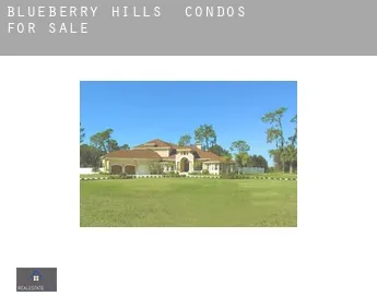 Blueberry Hills  condos for sale