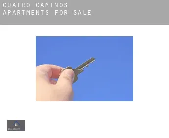 Cuatro Caminos  apartments for sale