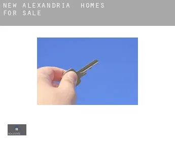 New Alexandria  homes for sale