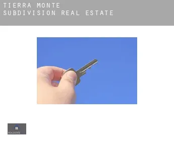 Tierra Monte Subdivision  real estate