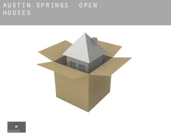 Austin Springs  open houses