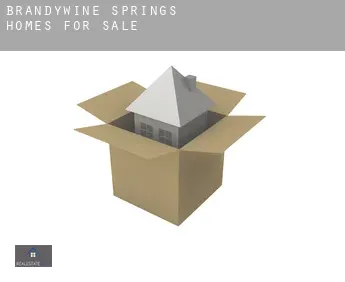 Brandywine Springs  homes for sale