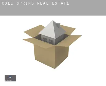Cole Spring  real estate
