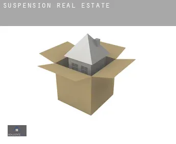 Suspension  real estate