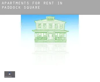 Apartments for rent in  Paddock Square