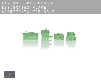 Pinion Pines  apartments for sale